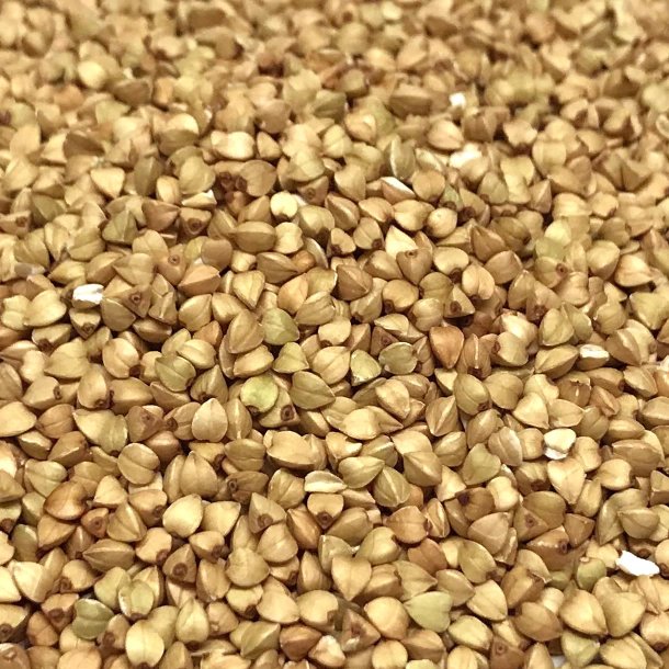 Boghvede �kologisk