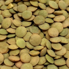 Grnne linser kologisk