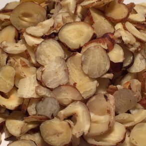 Hasselndder, tykke flager