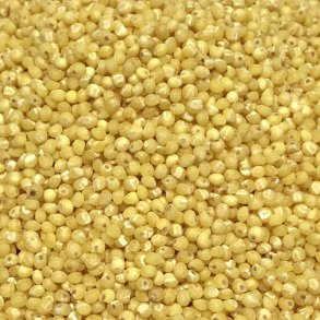 Hirse afskallet �kologisk