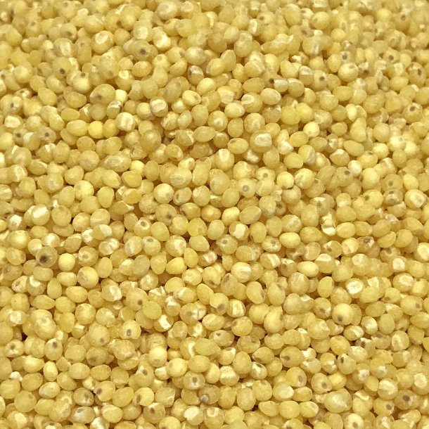 Hirse afskallet �kologisk