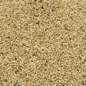 Hvid Birkes �kologisk