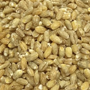 Perlebyg C8 �kologisk