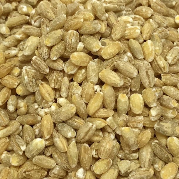 Perlebyg C8 �kologisk