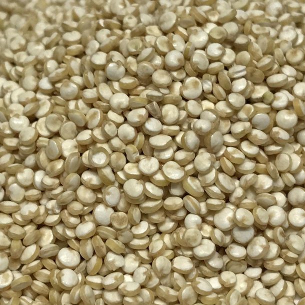 Quinoa hvid