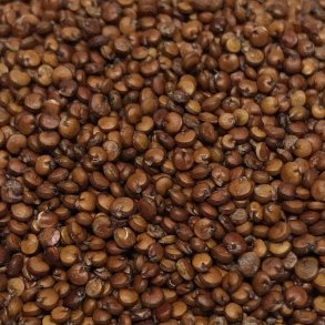 Quinoa r�d