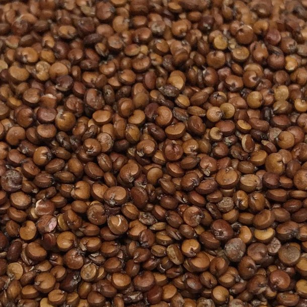 Quinoa r�d