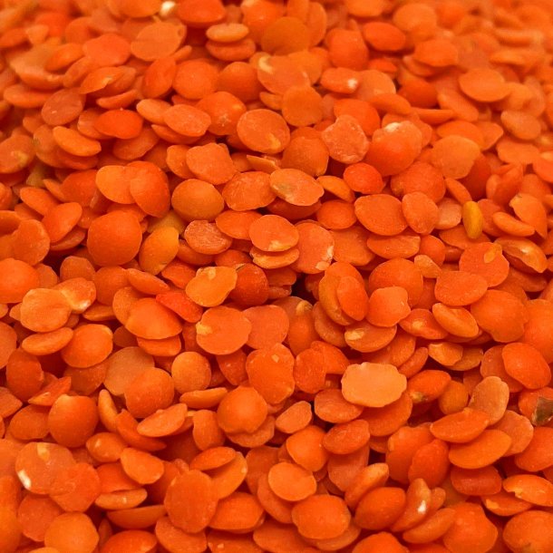 Rde splitlinser kologisk