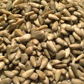 Solsikke Bakery �kologisk