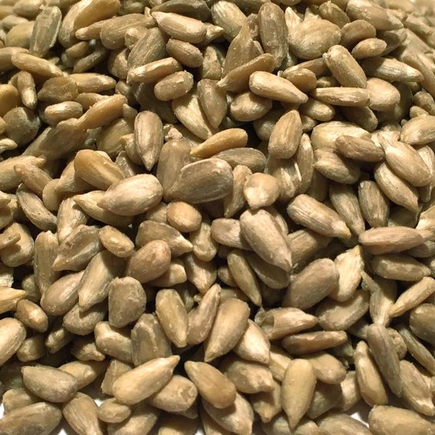 Solsikke Bakery �kologisk